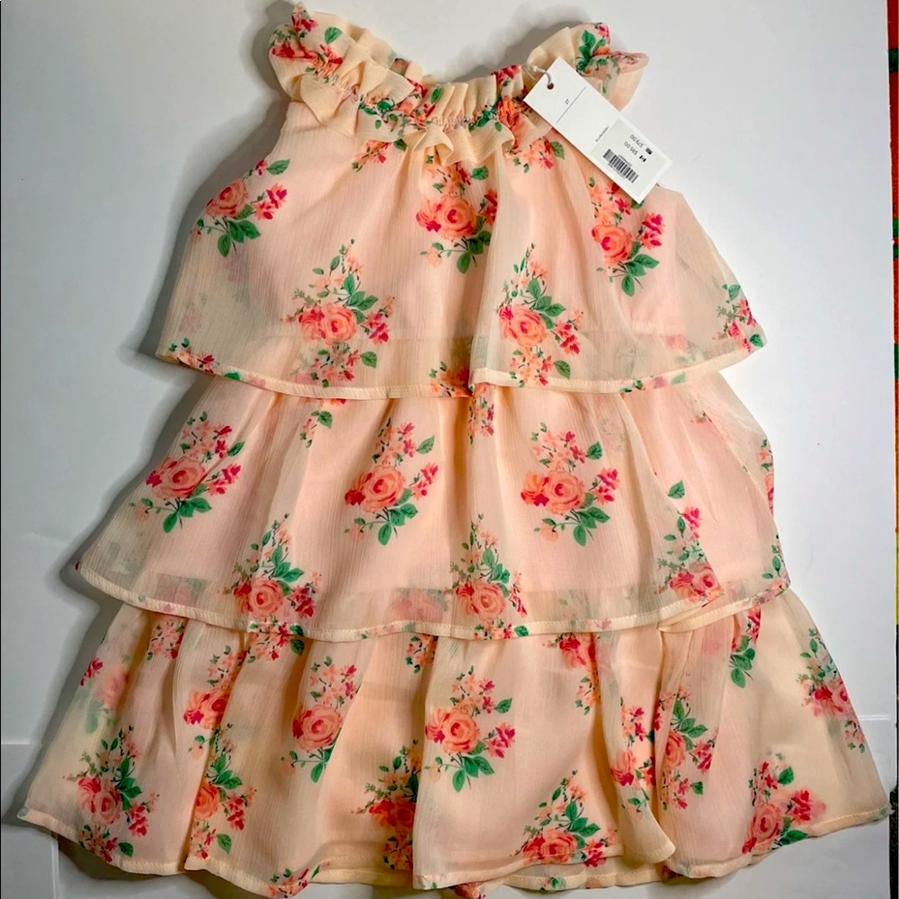 Janie and Jack 2t dress